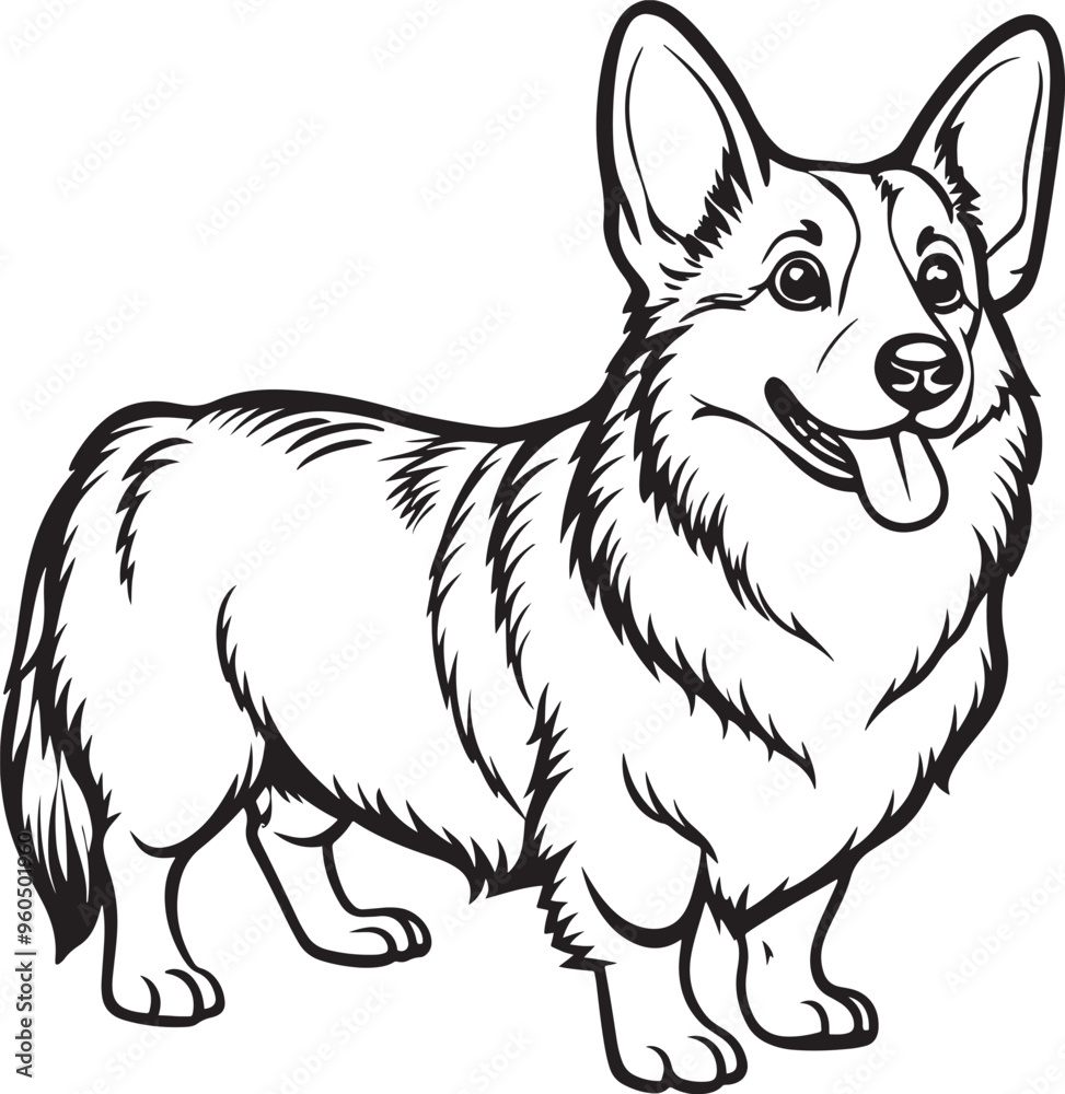 Pembroke Welsh Corgi Drawing Black and White Illustration for Coloring Pages Pembroke Welsh Corgi Drawing Black and White Illustration for Coloring Pages