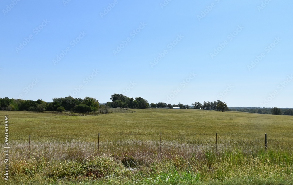 Farm Field Farm Field