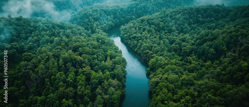 Serene Aerial View of Lush Forest Landscape with Meandering River - Nature Background