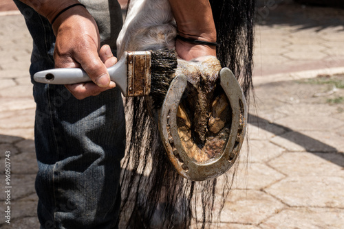 Horse caretaker at work in an equestrian center photo