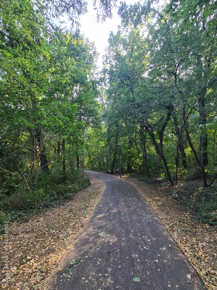 Naturpfad durch ein kleines Waldareal in Babelsberg, einem Stadtteil von Potsdam Naturpfad durch ein kleines Waldareal in Babelsberg, einem Stadtteil von Potsdam