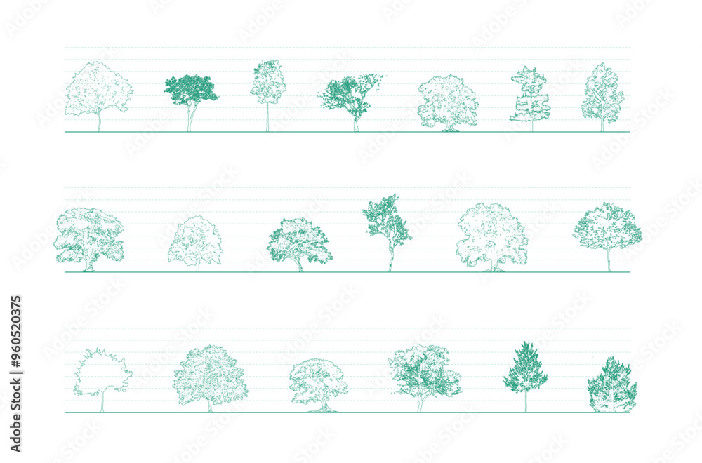 Minimal style cad tree line drawing, Side view, set of graphics trees elements outline symbol for architecture and landscape design drawing. Vector illustration in stroke. Tropical