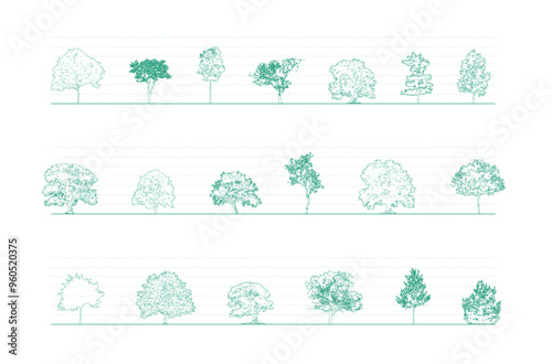 Minimal style cad tree line drawing, Side view, set of graphics trees elements outline symbol for architecture and landscape design drawing. Vector illustration in stroke. Tropical