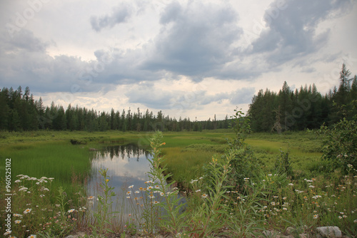 Chapleau Crown Game Preserve / Chapleau Crown Game Preserve / photo