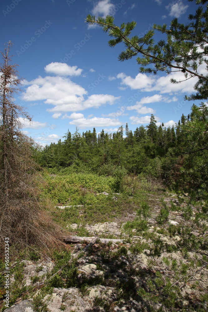 Chapleau Crown Game Preserve / Chapleau Crown Game Preserve / Chapleau Crown Game Preserve / Chapleau Crown Game Preserve /
