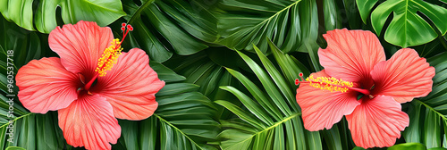 Tropical hibiscus flowers with green leaves