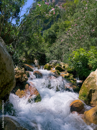 The Akchour waterfall is undoubtedly one of the hidden gems of Chefchaouen. The hike along the river with many small waterfalls through the vigorous green forest like in a fairy tale. photo