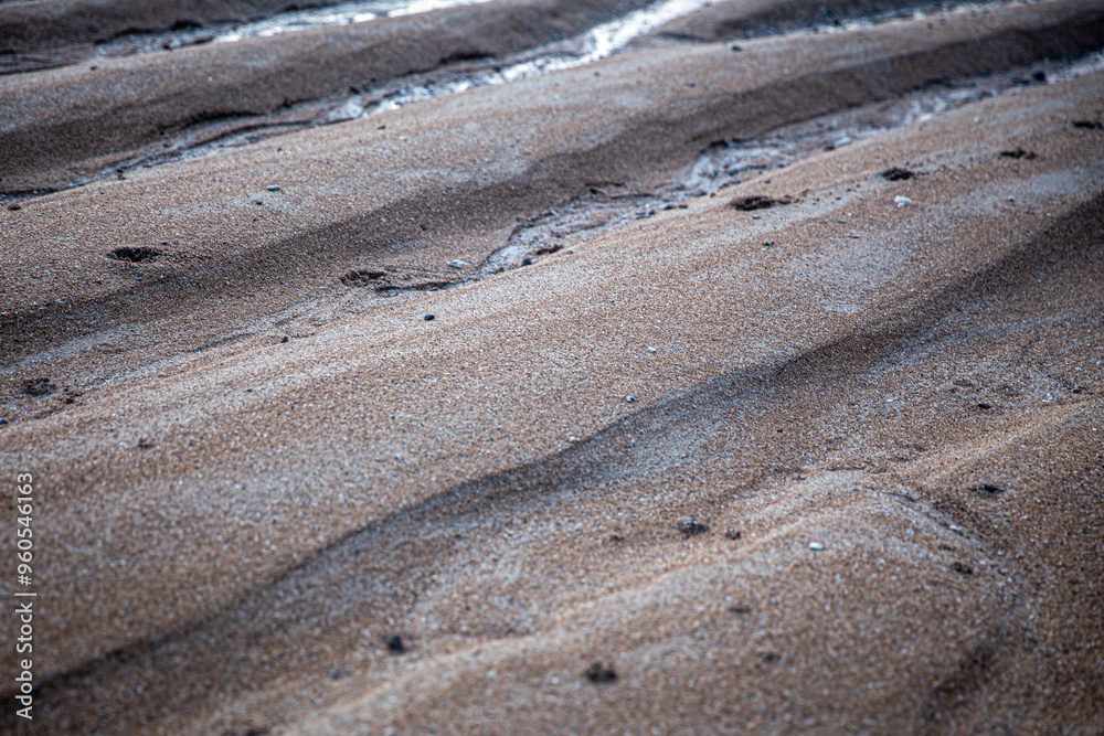 Shore at low tide Shore at low tide