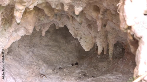 Nacimiento de agua en cueva, entorno natural único