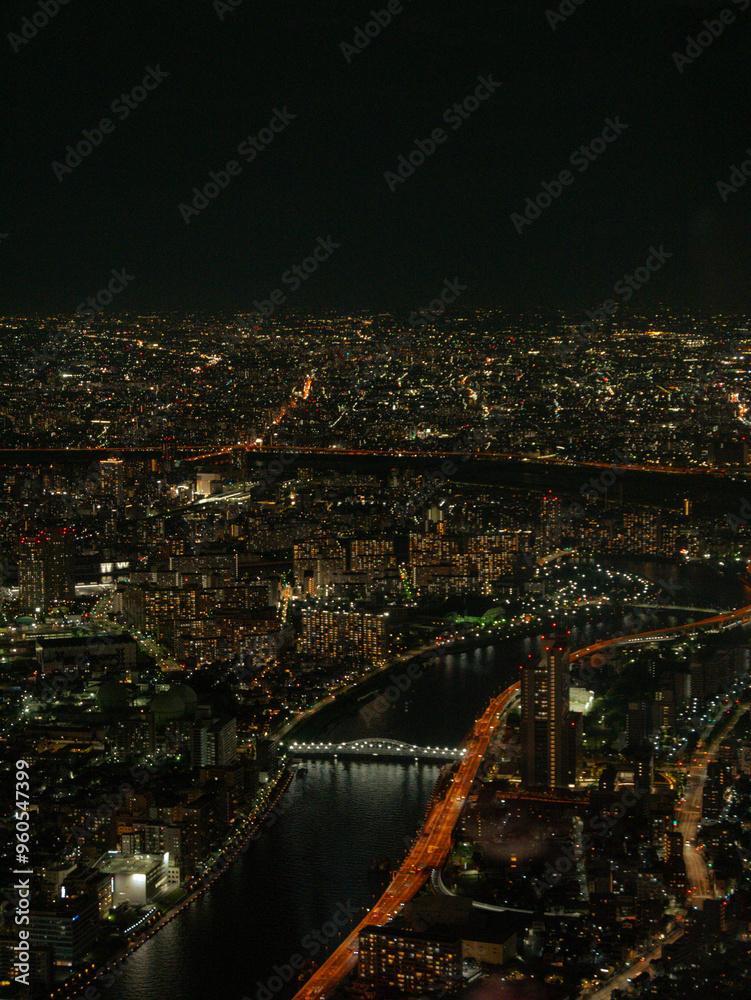 Fototapeta premium view of the Tokyo city at night with river and bridge