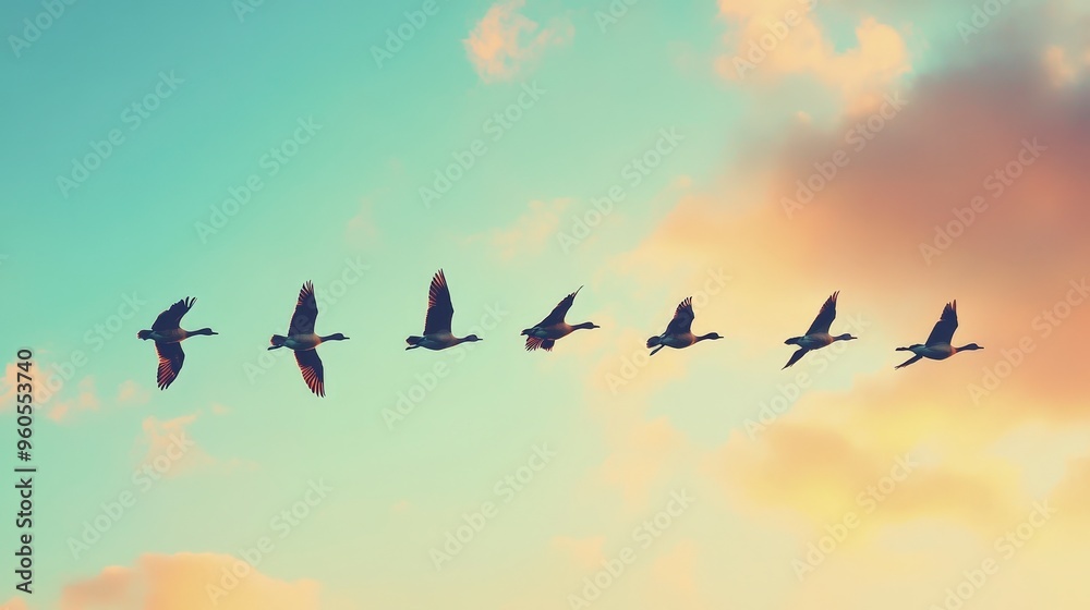 Fototapeta premium Majestic Geese in Flight: High-Definition Panoramic Sky Image with Golden Silhouettes and Soft Autumn Sunlight