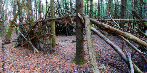 Photography Primitive log shelter built in a pine forest of northern Illinois