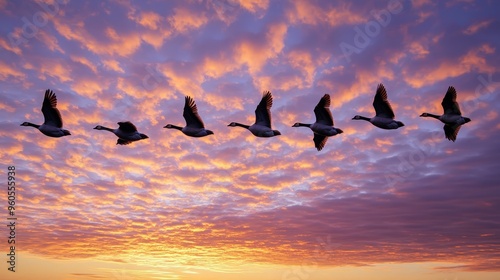 Majestic Geese in Flight: Ultra HD Panoramic Shot of Eight Geese Soaring in Autumn Sky photo