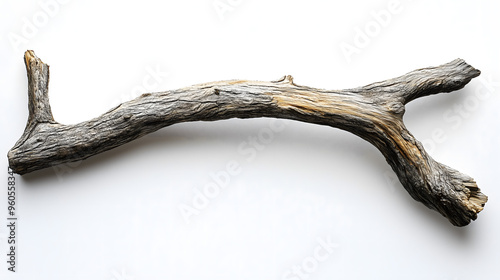 Weathered Wooden Branch Isolated on White Background