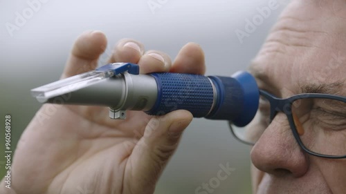 measuring sugar in grapes