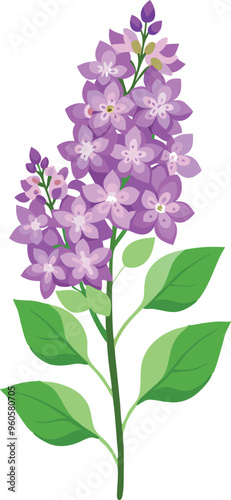 Vibrant Lilac Branch with Lush Green Leaves Illustration - Illustration of a vibrant lilac branch with rich purple blossoms and lush green leaves, capturing the essence of spring and natural beauty.