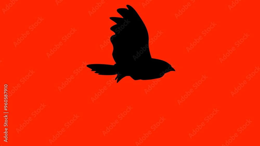 shadow of flying bird on transparent background