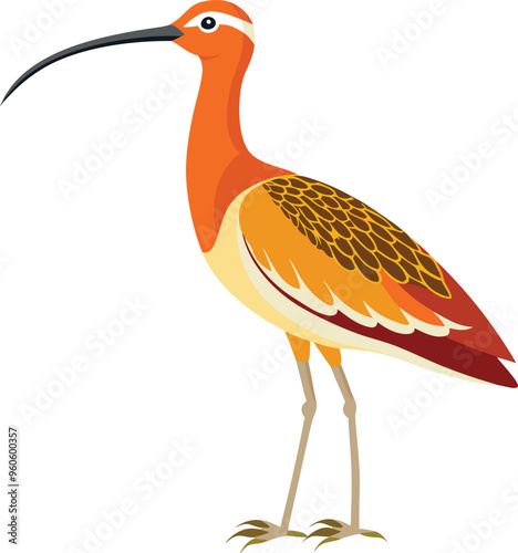 Long billed Curlew birds artwork victor