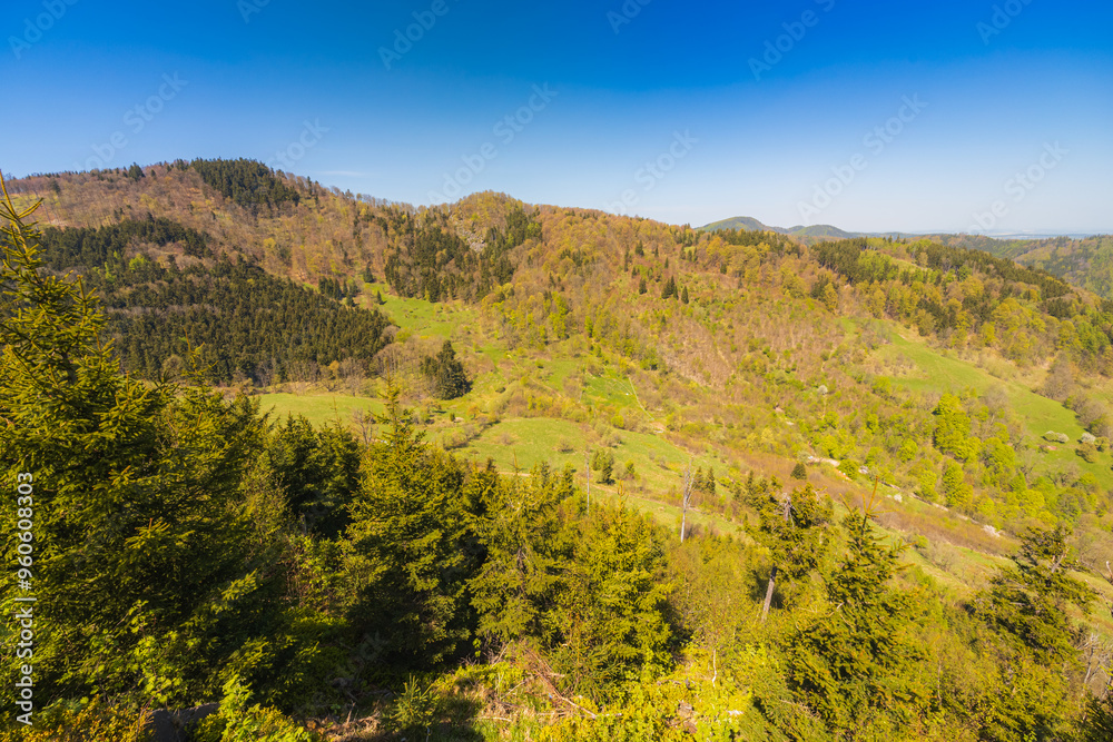 Obraz premium beautiful landscape of Walbrzych mountains seen from new viewing platform on top of Gomolnik Maly mountain at sunny day