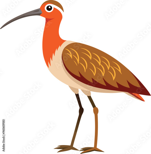 Long billed Curlew birds artwork victor