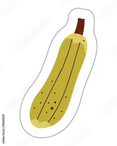 Sticker with a zucchini. Color flat vector illustration.