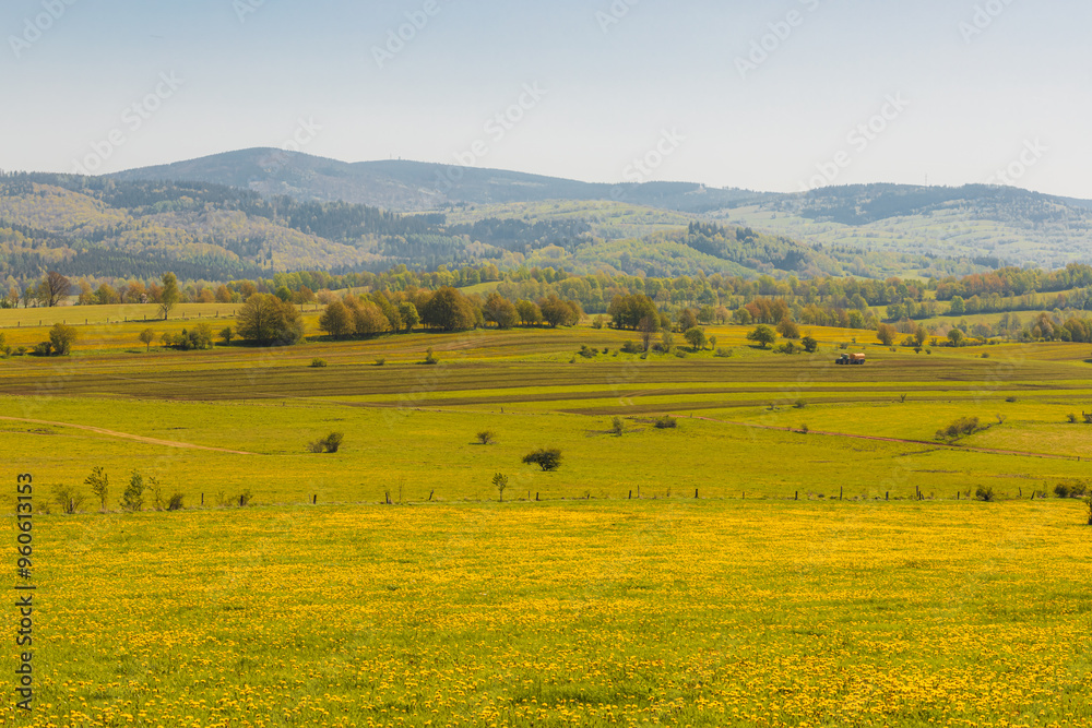 Fototapeta premium Scenic Rolling Hills and Verdant Fields in a Tranquil Countryside Setting