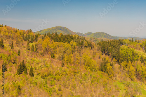 Podobny obraz
