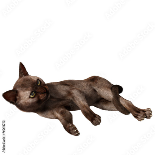 3D rendered illustration of a Burmese cat isolated on a transparent background