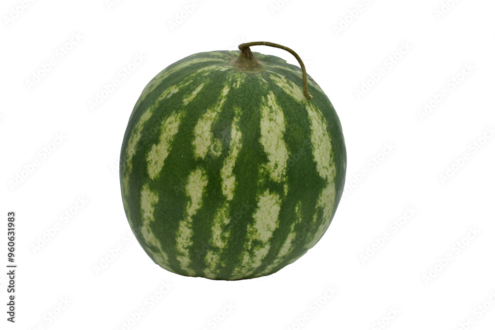 Small ripe striped watermelon on a white background. Small ripe striped watermelon on a white background.