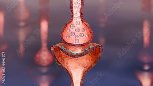 Muscarinic Acetylcholine receptors, muscle fiber sarcolemma, neurotransmitter or neuromuscular junction, cycle of ACH release in Myasthenia gravis, Norepinephrine and Serotonin, Histamine, 3d render	
 photo