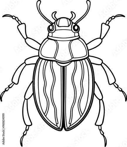 Beetle vector coloring page