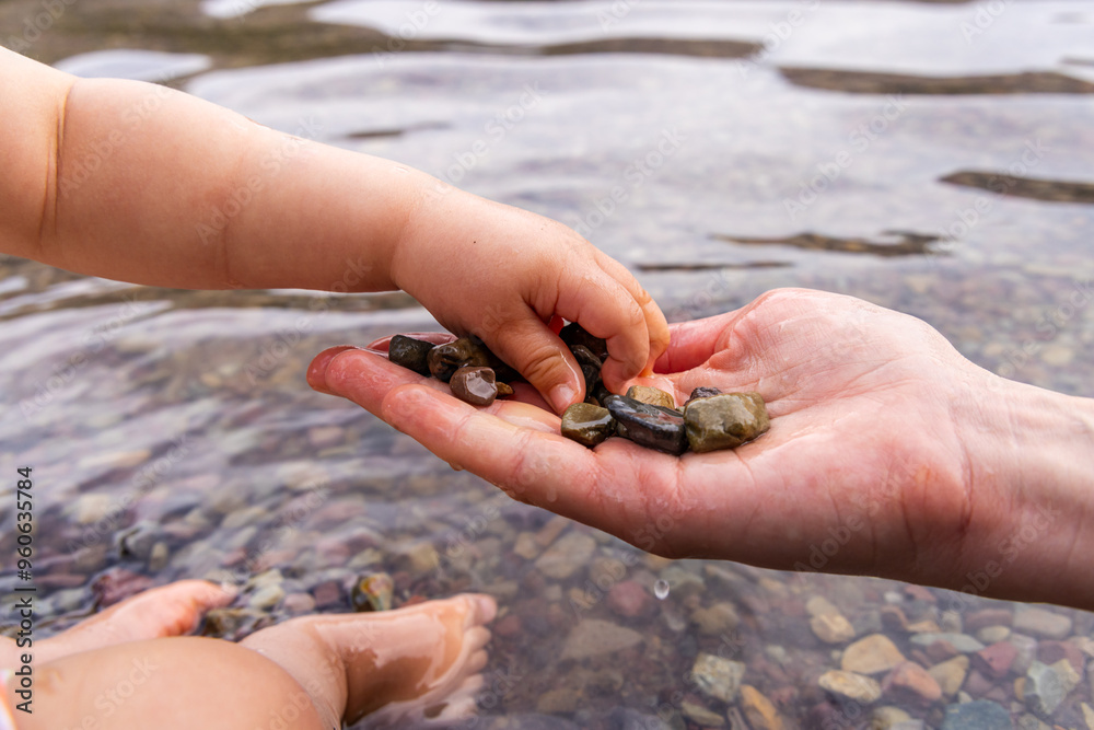 Child and Parent Share Special Moment by Collecting Stones in Waterton, Alberta, Canada. Child and Parent Share Special Moment by Collecting Stones in Waterton, Alberta, Canada.