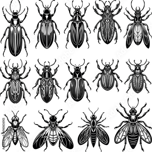 Beetles and flies vector set