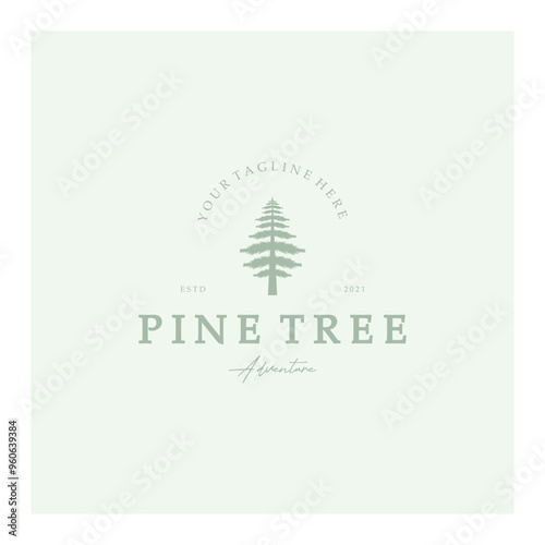 simple pine or fir tree logo,evergreen.for pine forest,adventurers,camping,nature,badges and business.vector