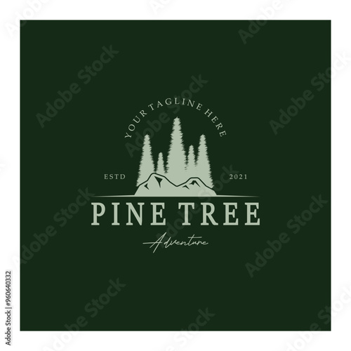 simple pine or fir tree logo,evergreen.for pine forest,adventurers,camping,nature,badges and business.vector