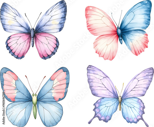 Colorful butterflies with unique designs and patterns, perfect for nature-themed projects or artistic designs.