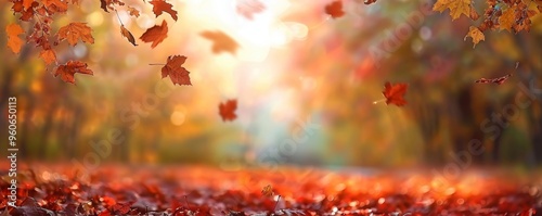 Beautiful autumn landscape with. Colorful foliage in the park. Falling leaves natural background 