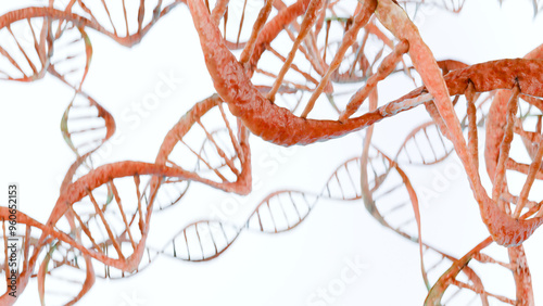 DNA on black background. nucleic acid, DNA double helix spiral molecule structure. human genome, Biological and Science and medicine concepts, Deoxyribonucleic Acid, genetic diversity, 3d render