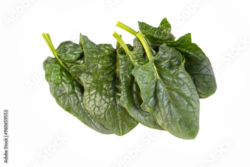 Fresh leaves of spinach, is...