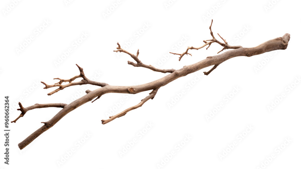 PNG Twig driftwood twig white background. PNG Twig driftwood twig white background.