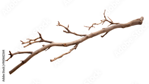 PNG Twig driftwood twig white background.