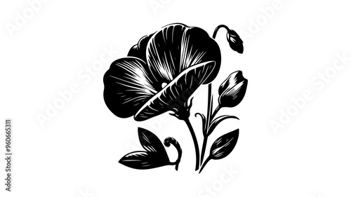 Sweet pea flower silhouette vector illustration.