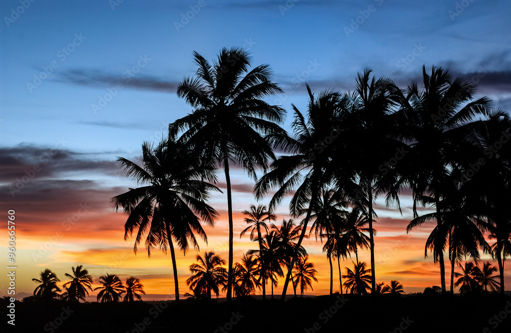 Coconut trees in silhouette with a vibrant-colored late afternoon sky forming a tropical summer scene. Coconut trees in silhouette with a vibrant-colored late afternoon sky forming a tropical summer scene.