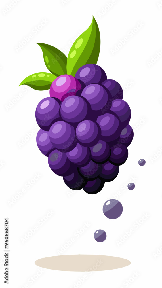 Falling Blackberry isolated on white background Falling Blackberry isolated on white background