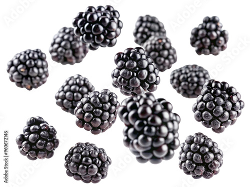 Falling Blackberry isolated on white background