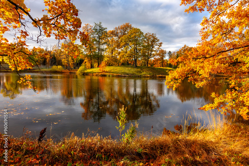 Autumn foliage in Alexander park, Tsarskoe Selo (Pushkin), St. Petersburg, Russia