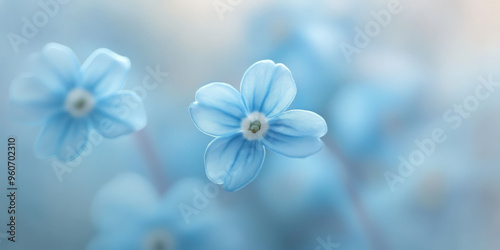 A delicate, macro view of pale blue forget-me-not petals, with soft, smooth textures and subtle gradients, creating a serene, peaceful background.