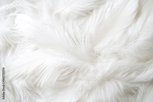 Close-up of soft white feathers, ideal for backgrounds or textural overlays.