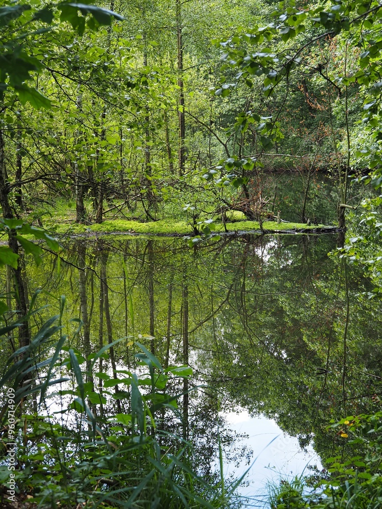 Landschaft im Sommer an einem See Landschaft im Sommer an einem See