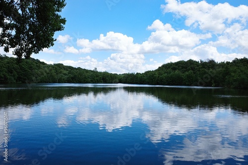 Landschaft im Sommer an einem See